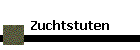 Zuchtstuten